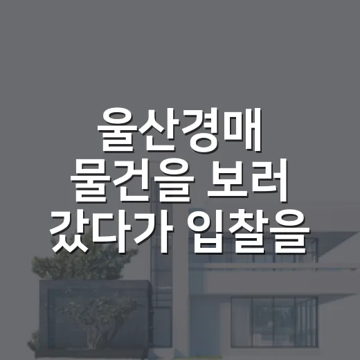 울산경매 물건을 보러 갔다가 입찰을 접은 이유 - 요약