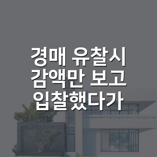 경매 유찰시 감액만 보고 입찰했다가 놀란 날 - 요약