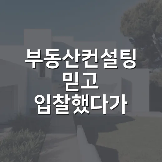 부동산컨설팅 믿고 입찰했다가 멈춰 선 이유 - 요약