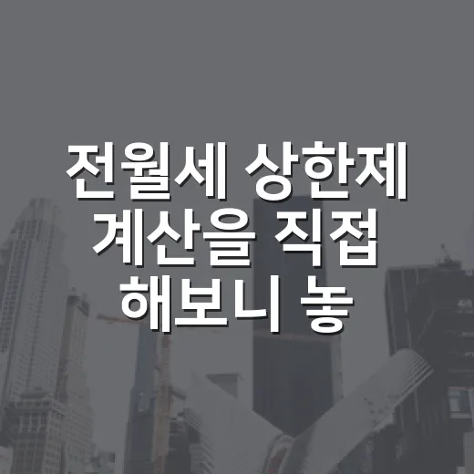전월세 상한제 계산을 직접 해보니 놓치기 쉬운 돈 - 요약