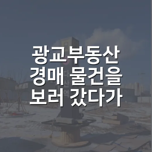 광교부동산 경매 물건을 보러 갔다가 입찰을 접은 이유 - 요약