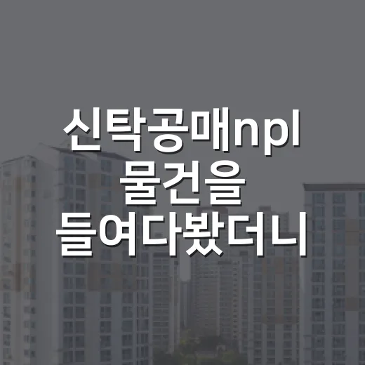 신탁공매npl 물건을 들여다봤더니 가격보다 먼저 보인 것 - 요약