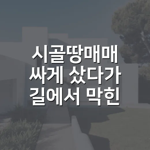 시골땅매매 싸게 샀다가 길에서 막힌 이야기 - 요약