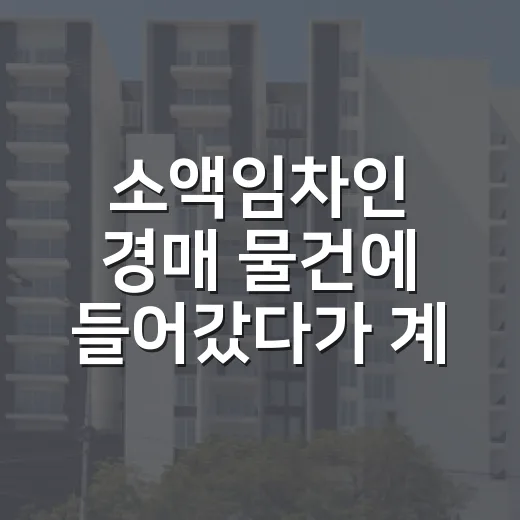 소액임차인 경매 물건에 들어갔다가 계산을 다시 한 이유 - 요약