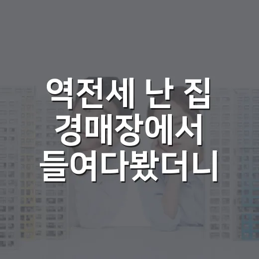 역전세 난 집 경매장에서 들여다봤더니 - 요약