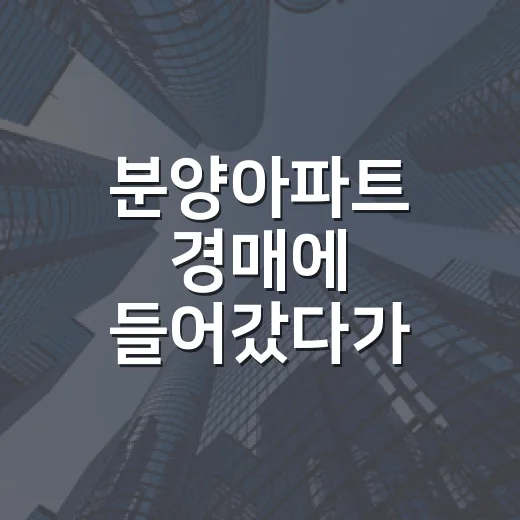 분양아파트 경매에 들어갔다가 입찰가를 낮춘 이유 - 요약