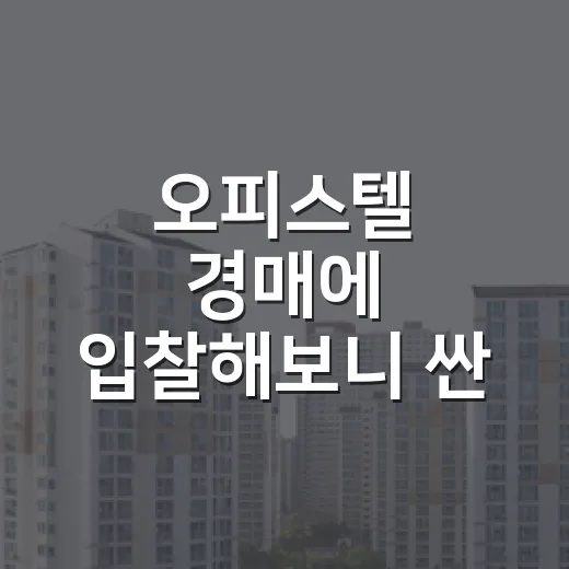 오피스텔 경매에 입찰해보니 싼 가격보다 무서운 게 있었다 - 요약