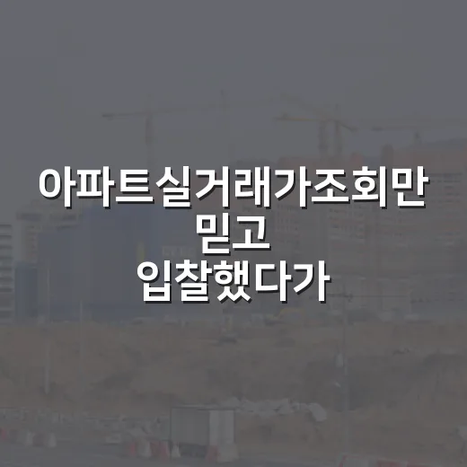 아파트실거래가조회만 믿고 입찰했다가 식은땀 났다 - 요약