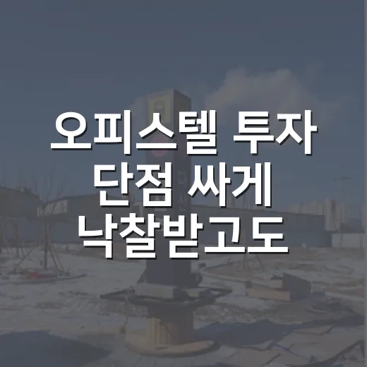 오피스텔 투자 단점 싸게 낙찰받고도 웃지 못한 이유 - 요약