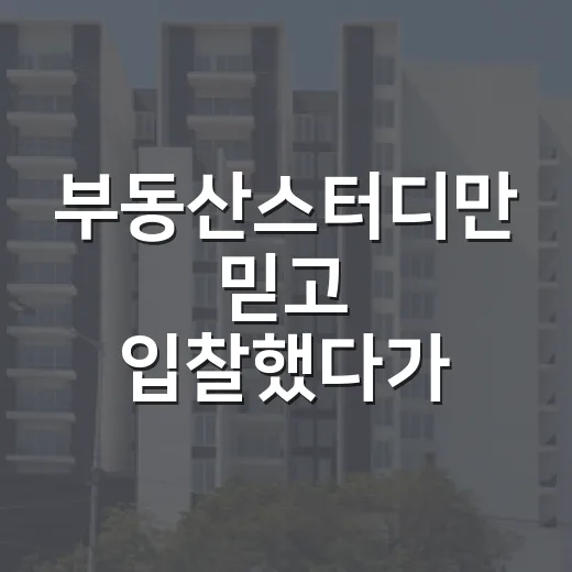 부동산스터디만 믿고 입찰했다가 멈춘 날 - 요약