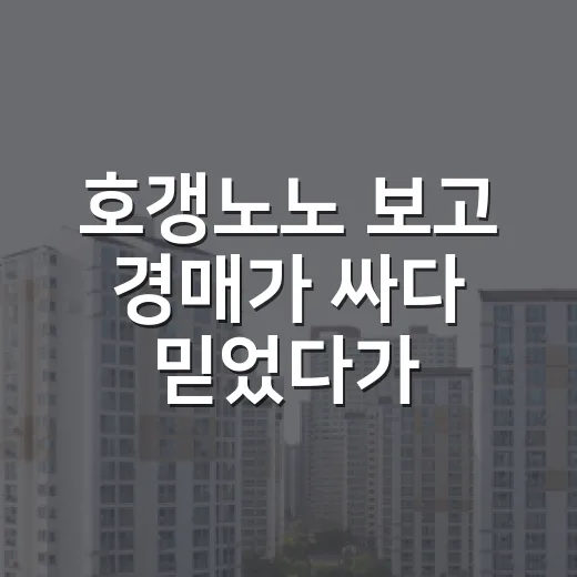 호갱노노 보고 경매가 싸다 믿었다가 멈춘 이유 - 요약