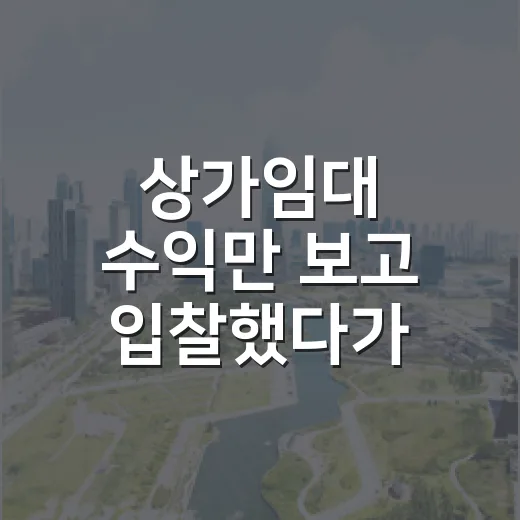 상가임대 수익만 보고 입찰했다가 멈춘 이유 - 요약