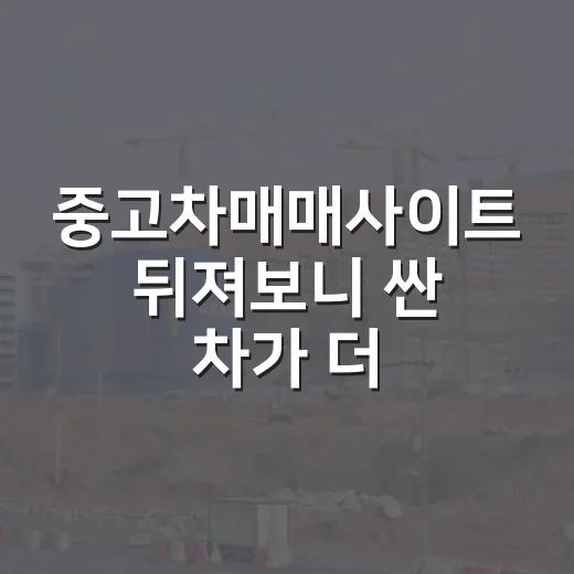 중고차매매사이트 뒤져보니 싼 차가 더 비쌌다 - 요약