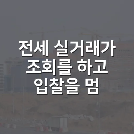 전세 실거래가 조회를 하고 입찰을 멈춘 이유 - 요약