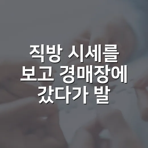 직방 시세를 보고 경매장에 갔다가 발길을 돌린 날 - 요약
