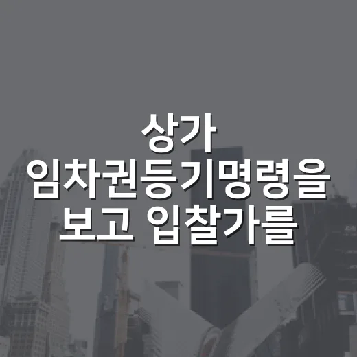 상가 임차권등기명령을 보고 입찰가를 다시 썼다 - 요약