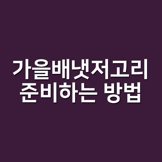 가을배냇저고리 준비하는 방법, 많이 사기 전에 이 기준부터 보세요 - 요약