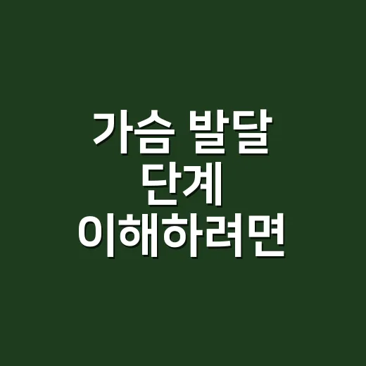 가슴 발달 단계 이…