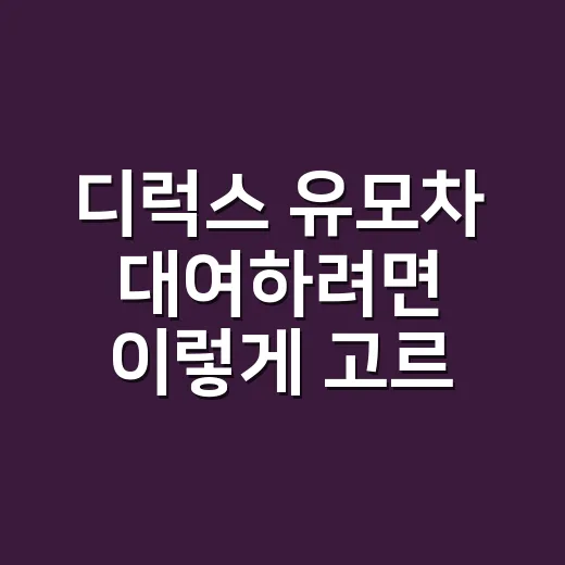 디럭스 유모차 대여하려면 이렇게 고르세요 - 요약