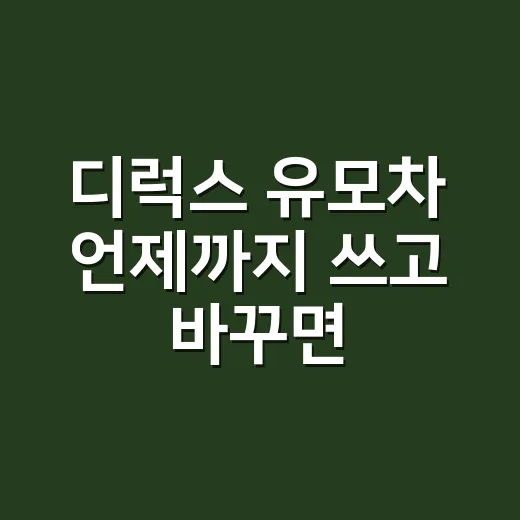 디럭스 유모차 언제까지 쓰고 바꾸면 좋은지 판단하는 방법 - 요약