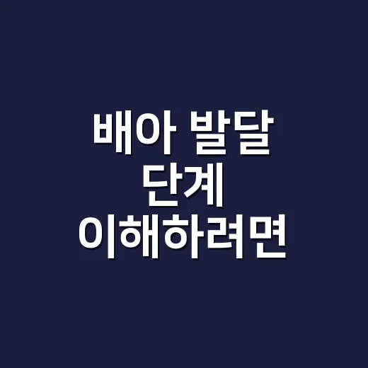배아 발달 단계 이해하려면 이렇게 보면 덜 불안합니다 - 요약