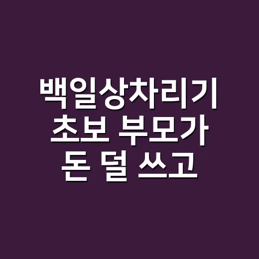 백일상차리기 초보 부모가 돈 덜 쓰고 준비하는 방법 - 요약