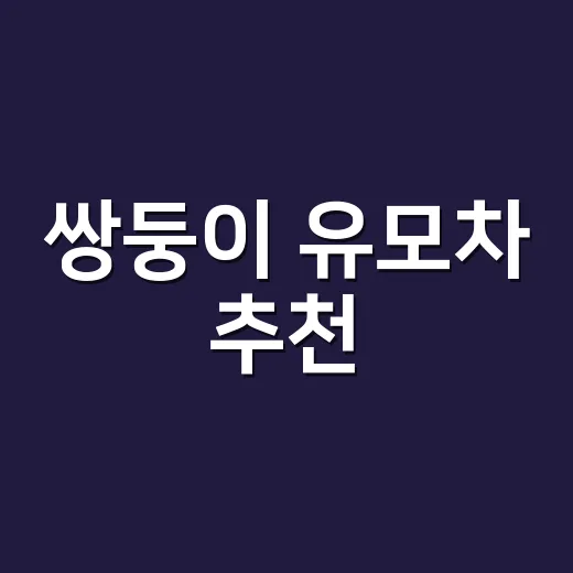 쌍둥이 유모차 추천, 초보 부모가 덜 사고 오래 쓰는 방법 - 요약