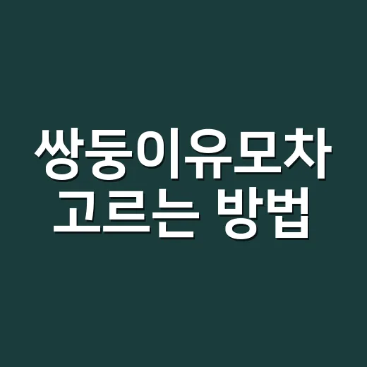 쌍둥이유모차 고르는 방법, 처음부터 비싼 것 사기 전에 볼 것들 - 요약