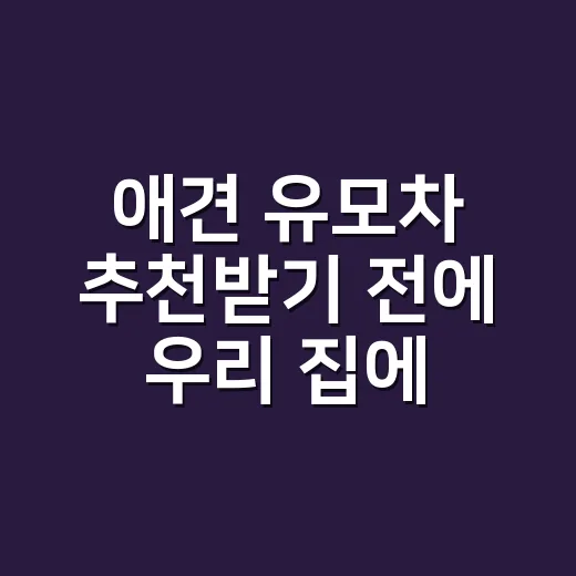 애견 유모차 추천받기 전에 우리 집에 맞게 고르는 방법 - 요약