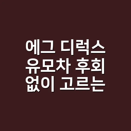 에그 디럭스 유모차 후회 없이 고르는 방법 - 요약