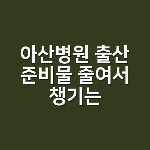 아산병원 출산 준비물 줄여서 챙기는 방법 - 요약