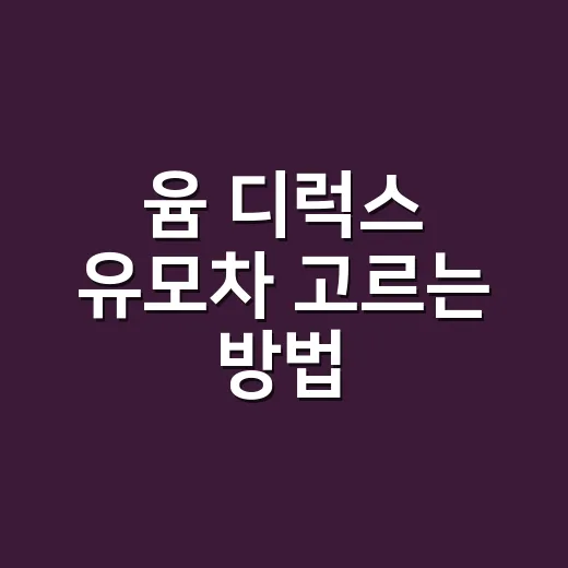 윰 디럭스 유모차 고르는 방법, 신생아 때 정말 필요한지 보는 기준 - 요약