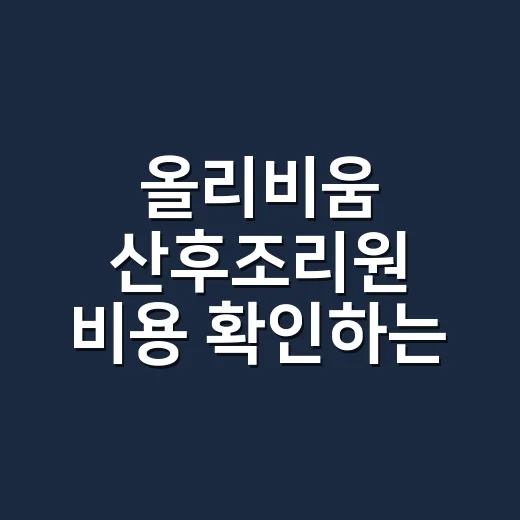 올리비움 산후조리원 비용 확인하는 방법, 2주 예산은 이렇게 잡으세요 - 요약