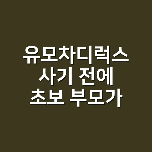 유모차디럭스 사기 전에 초보 부모가 먼저 확인하는 방법 - 요약