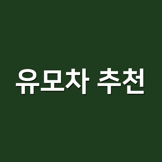 유모차 추천, 초보 부모가 돈 덜 쓰고 고르는 방법 - 요약