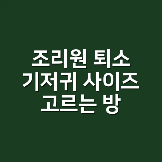 조리원 퇴소 기저귀 사이즈 고르는 방법, 신생아용을 얼마나 사야 할까 - 요약