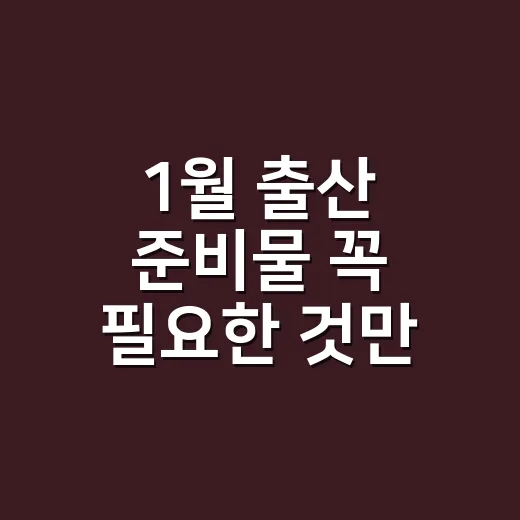1월 출산 준비물 꼭 필요한 것만 챙기는 방법 - 요약
