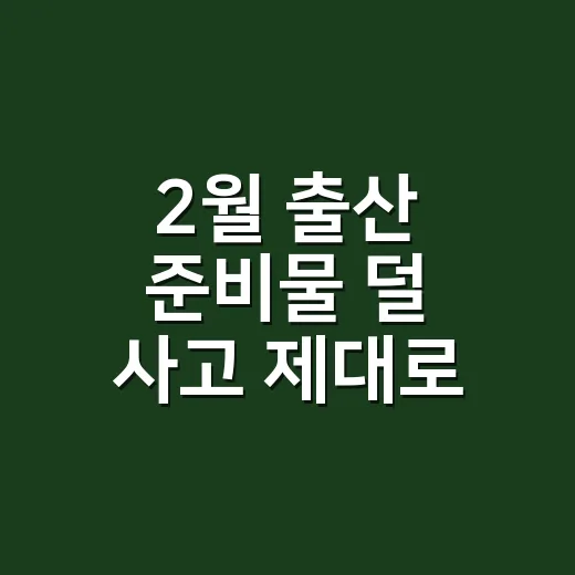 2월 출산 준비물 덜 사고 제대로 챙기는 방법 - 요약