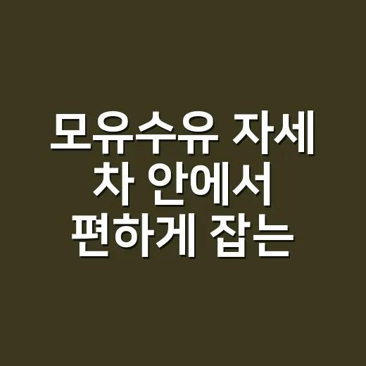 모유수유 자세 차 안에서 편하게 잡는 방법 - 요약