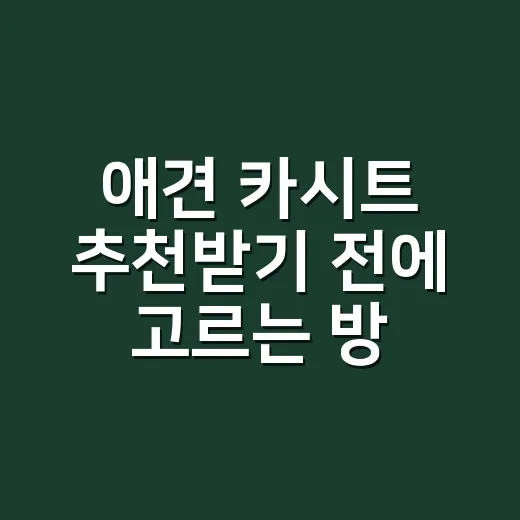 애견 카시트 추천받기 전에 고르는 방법 - 요약