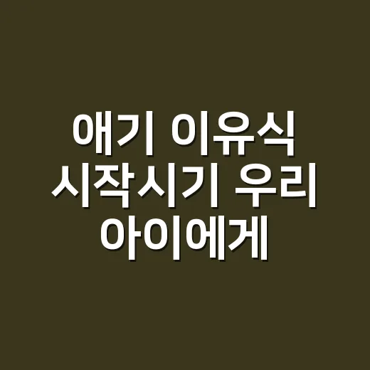 애기 이유식 시작시기 우리 아이에게 맞춰 잡는 방법 - 요약
