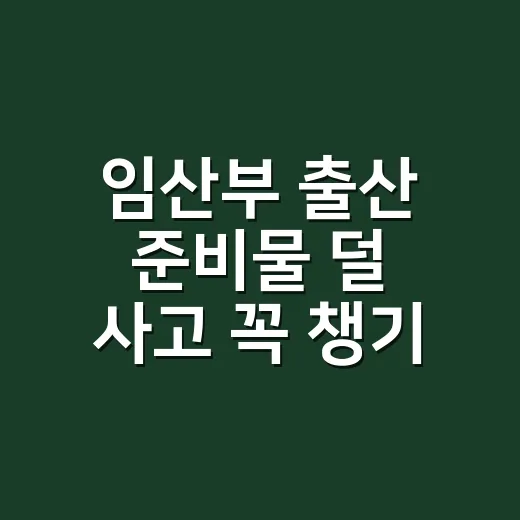임산부 출산 준비물 덜 사고 꼭 챙기는 방법 - 요약