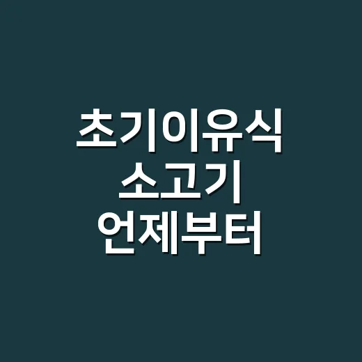 초기이유식 소고기 언제부터 어떻게 먹일까요 - 요약