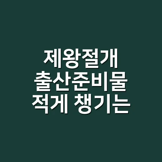 제왕절개 출산준비물 적게 챙기는 방법 - 요약
