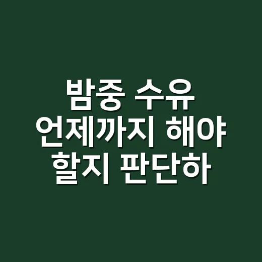 밤중 수유 언제까지 해야 할지 판단하는 방법 - 요약