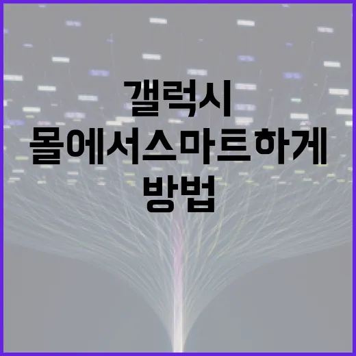 갤럭시몰에서 스마트하게 쇼핑하는 방법 - 요약