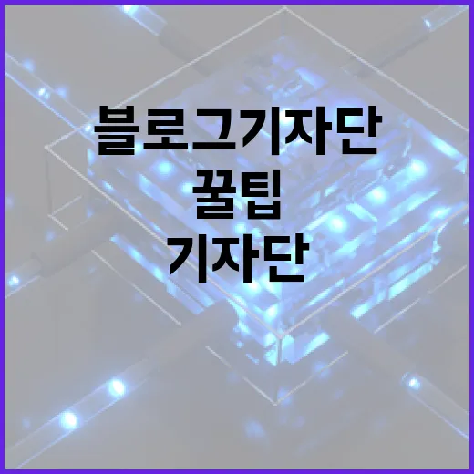 블로그기자단에 참여하는 방법과 꿀팁 - 요약