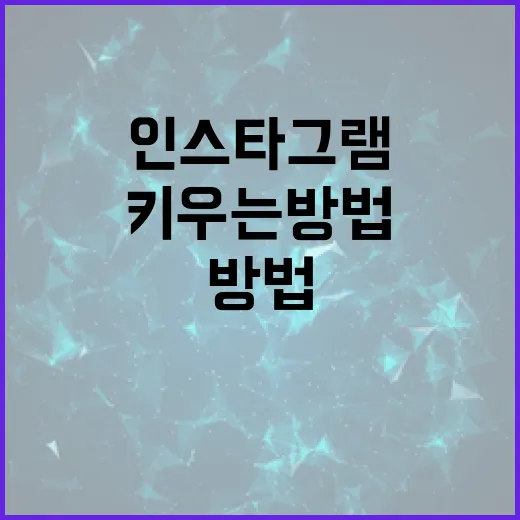 인스타그램을 꾸준히 키우는 방법, 초보자가 먼저 챙길 것들 - 요약