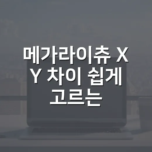메가라이츄 X Y 차이 쉽게 고르는 방법