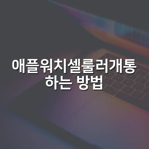 애플워치셀룰러개통 하는 방법, 집에서 막히지 않게 준비하는 순서 - 요약